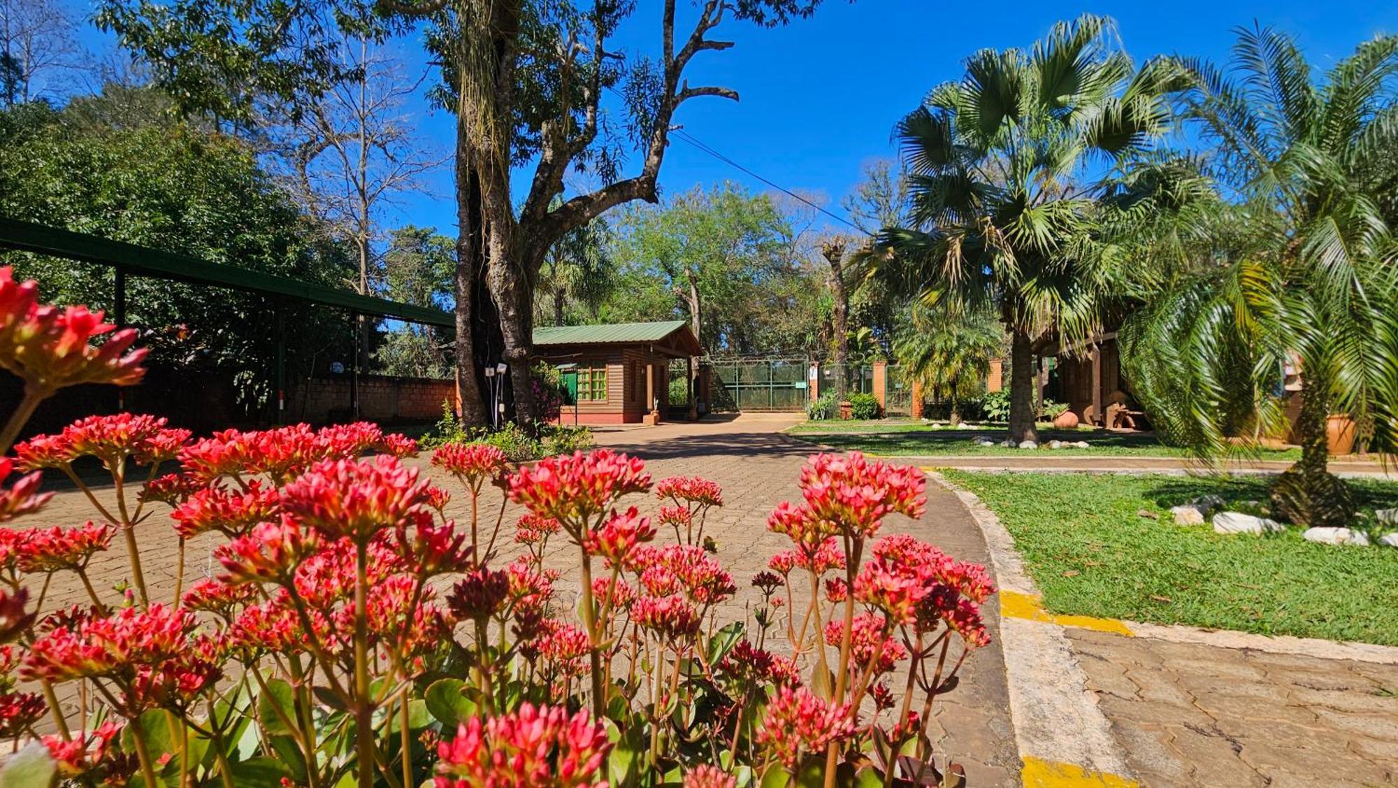 Cabanas Rincon Santa Maria 푸에르토이과수 외부 사진